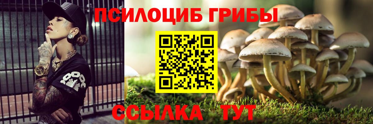 Псилоцибиновые грибы Magic Shrooms Углич